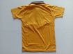 Picture of MDL00298 :: Size:7-8 Years :: Boys T-Shirt (With Collar)