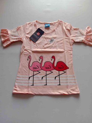 Picture of MDL00367 :: Size:6-7 Years :: Girls T - Shirts