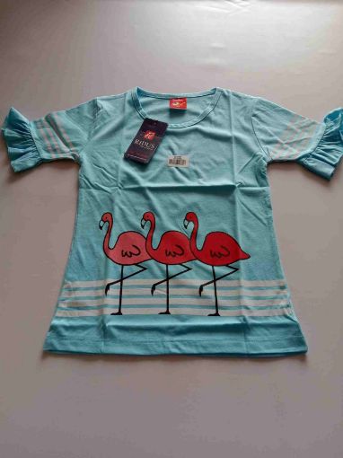 Picture of MDL00367 :: Size:7-8 Years :: Girls T - Shirts