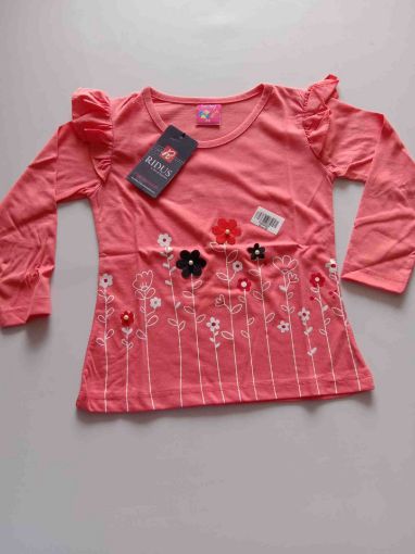 Picture of MDL00483 :: Size:5-6 Years :: Girls T - Shirts