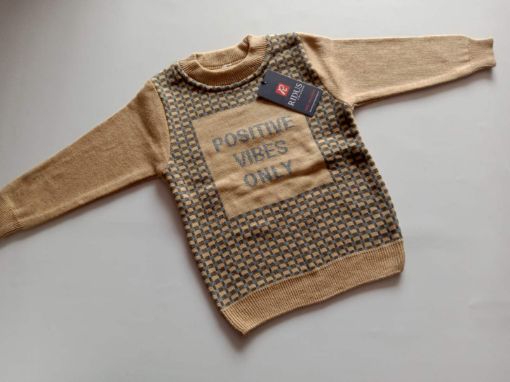 Picture of MDL00721 :: Size:3-4 Years :: Boys Sweater