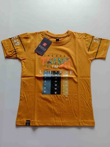 Picture of MDL00090 :: Size:5-6 Years :: Boys T-Shirts