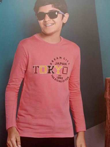 Picture of MDL00614 :: Size:8-9 Years :: Boys Full Sleave T Shirt