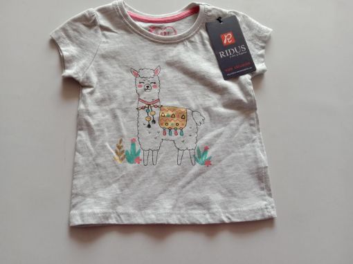 Picture of MDL00123 :: Size:12-18 Months :: Girls T-Shirts