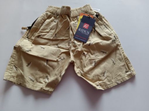 Picture of MDL00913 :: Size:7-8 Years :: Boys Shorts