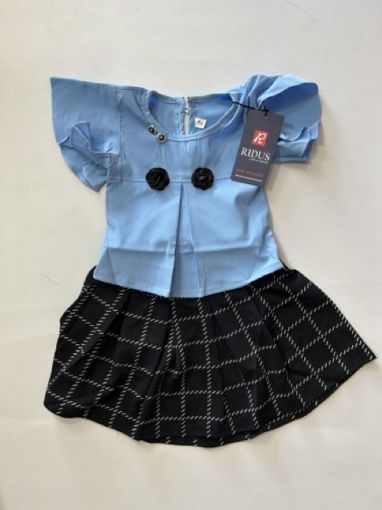 Picture of MDL01155 :: Size:2-3 Years :: Skirt And Top Set