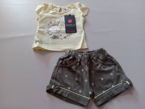 Picture of MDL01624 :: Size:3-6 Months :: Girls Top And Shorts Set