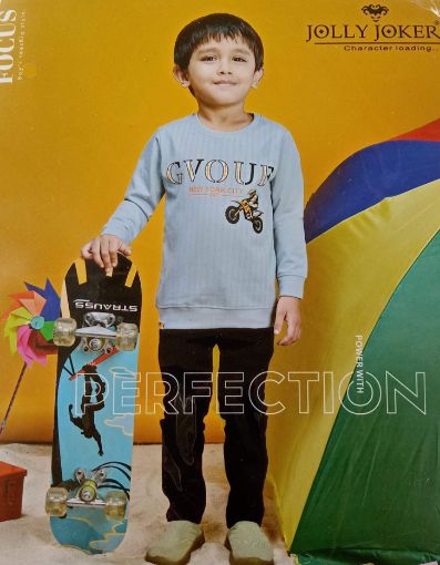 Picture of MDL02679 :: Size:2-3 Years :: Boys SweatShirt