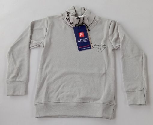 Picture of MDL02681 :: Size:2-3 Years :: Boys SweatShirt