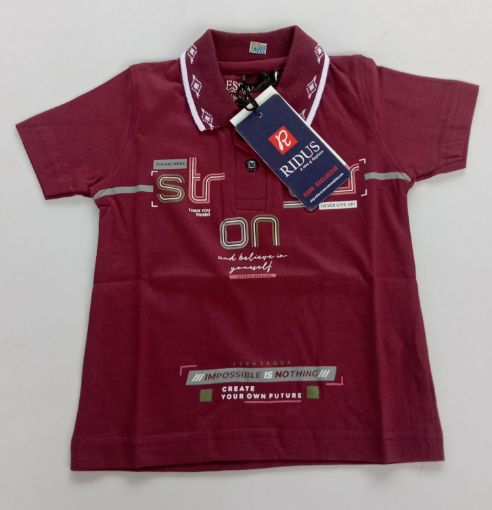 Picture of MDL03075 :: Size:18-24 Months :: Boys T-Shirt (With Collar)