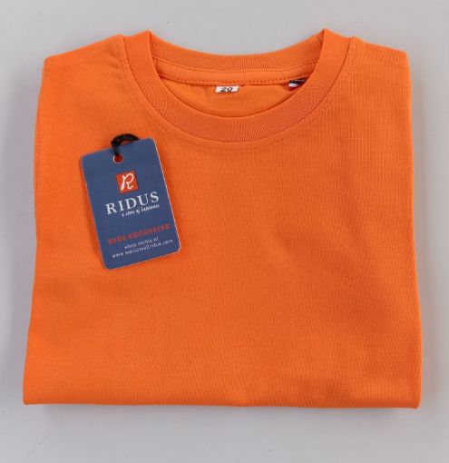 Picture of MDL03185 :: Size:2-3 Years :: Boys T-Shirts